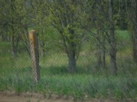 Анастасия Никогосян, id77301079